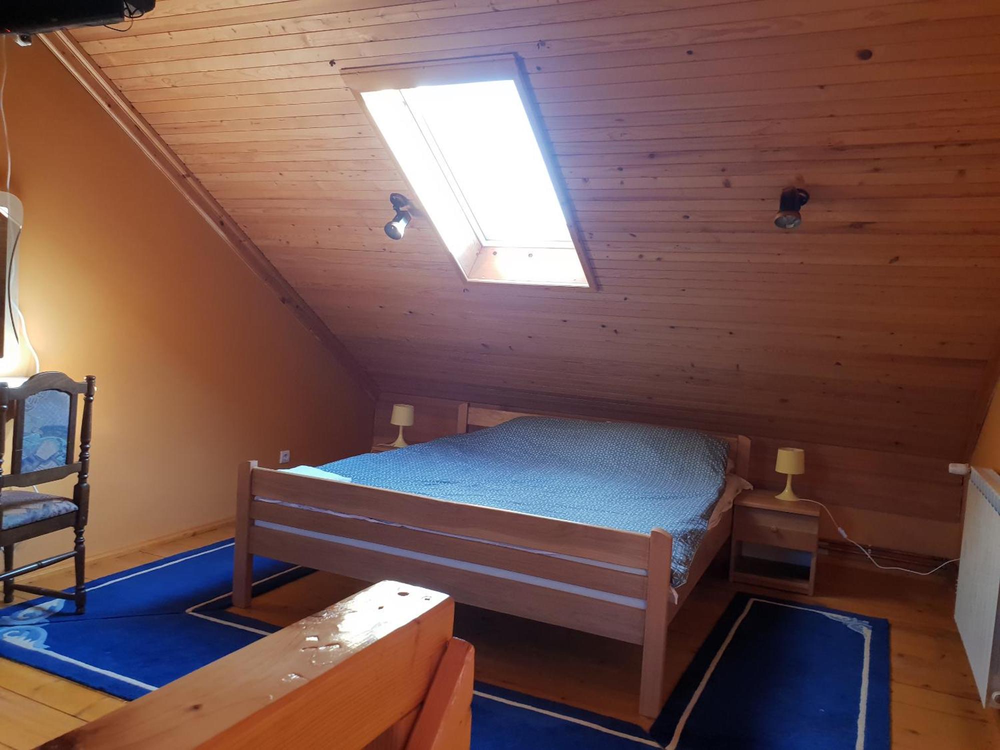Skaricevo Ruralna Kuca Za Odmor Golubヴィラ エクステリア 写真